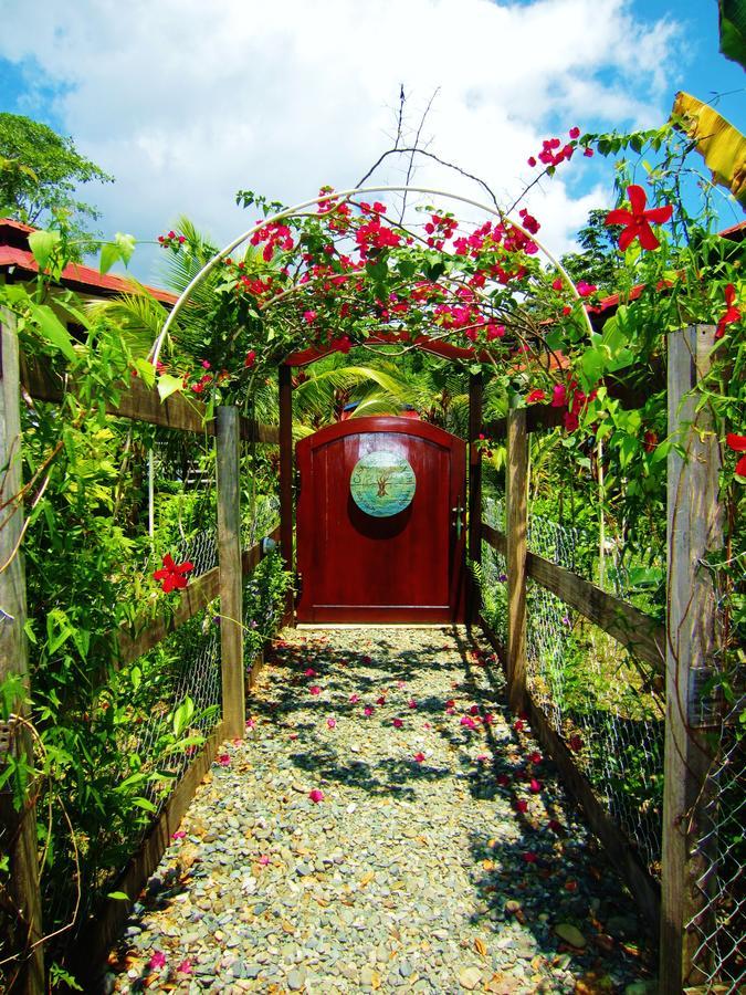 Casa Abundancyah B&B ボカス・タウン エクステリア 写真
